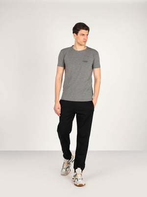 Iceberg T-shirt C-ringad Herr Grå