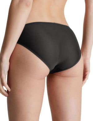 Calvin Klein Sheer Marquisette Bikini Style Brief