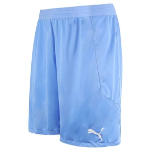 Puma DryCell TeamFinal 21 Stretch Midja Herr Ljusblå Shorts 704257 18