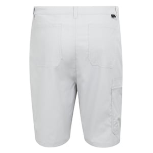 Regatta Mens Dalry Multi Pocket Shorts (Silver Grey)