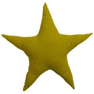 Printed Star Cushion