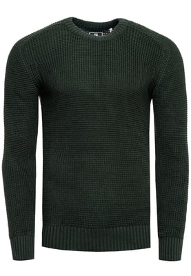 Rusty Neal Casual Fit Trui Gron
