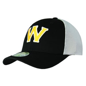 Mitchell & Ness Golden State Warrior heren pet