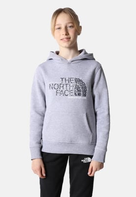 The North Face Kids Drew Peak Overhead Hoodie in Grey