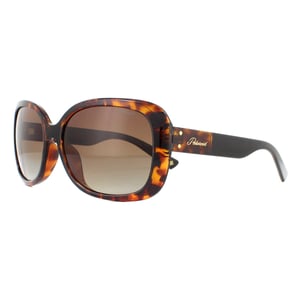 Polaroid Zonnebril PLD 4069/G/S/X 086 LA Havana Brown Gradient Gepolariseerd