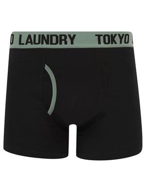Black Cotton 6-Pack Boxers