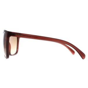 Calvin Klein Kattöga Dam Milky Brown Brun Gradient CK19565S