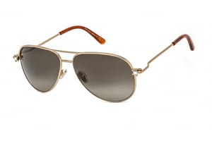 Jimmy Choo Sansa 0J5G HA Gold Sunglasses