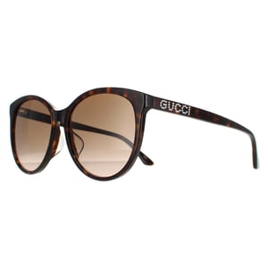 Gucci Round Womens Havana Brown Gradient GG0729SA