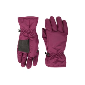 Mountain Warehouse Skidhandskar för damer/kvinnor (mörklila)