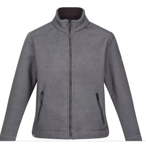 Regatta Mens Garrian II Full Zip Fleece Jacket (Ash)