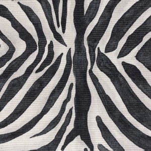 Paoletti Leopardis Zebra Printed Indoor/Outdoor Rug