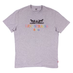 Levi's Men's Grey Varsity 90's T-Shirt
