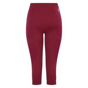Dare 2B Dam/Ladies In The Zone II Panel 3/4 Leggings (Fig)