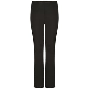 Dare 2B Womens/Ladies Upshill Ski Trousers (Black)