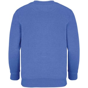 SOLS Childrens/Kids Columbia Sweatshirt (Royal Blue)