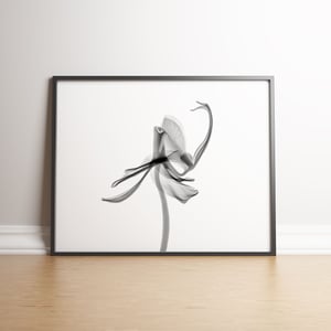 Orchid Flower Aquarelle XRay A - Black frame