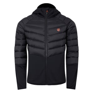 Dare 2B Mens Torrek Hybrid Jacket (Black)