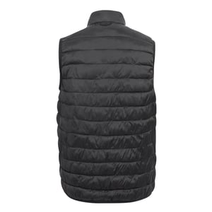 Regatta Mens Hillpack II Gilet (Black)