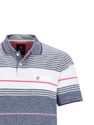 hajo polo