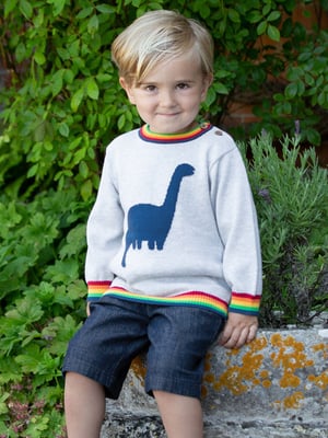 Kite Clothing Dino Jumper