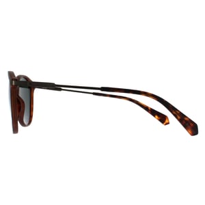 Polaroid Ronde Unisex Matte Havana Groen Gepolariseerd PLD 2062/S