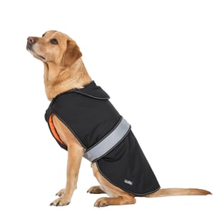 Trespass Butch Softshell hundjacka med tryckknäppning (svart)