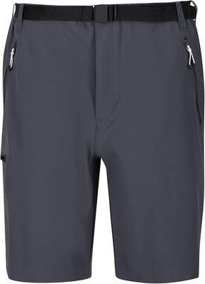 Regatta Mens Xert III Stretch Shorts
