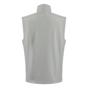 Regatta Heren Ascender Softshell 2-laags bodywarmer (Mineraalgrijs/zwart)