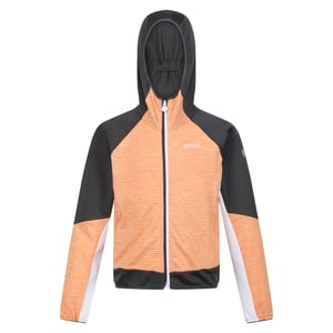 Regatta Kinder/Kids Prenton II Hooded Soft Shell Jacket (Abrikoosplet/Grijs)