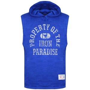 Under Armour Project Rock Heren Blauw Hooded Top