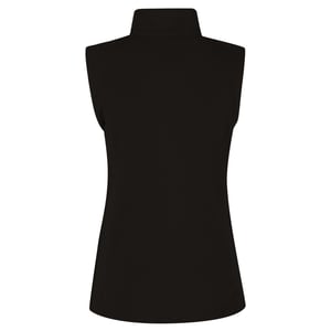 Regatta Vrouwen/dames 210 Series Microfleece Bodywarmer / Gilet (Zwart)