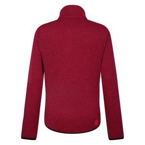Dare 2B Dames/Dames Torrek Fleece Top (Bessenroze)