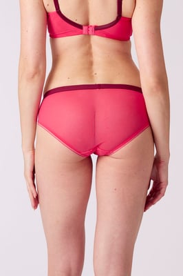 Delicate Lace Brief - Watermelon