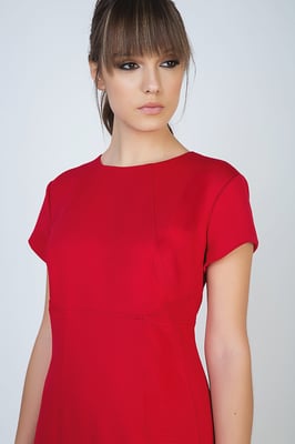 Red Short Sleeve Dress in Stretch Fabric