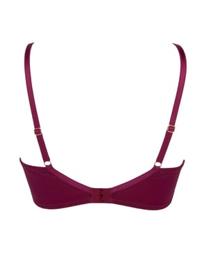 Lise Charmel Sublime En Dentelle Full Cup Bra -  Fuchsia