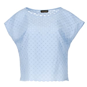 Himelsblå ärmlös broderad topp