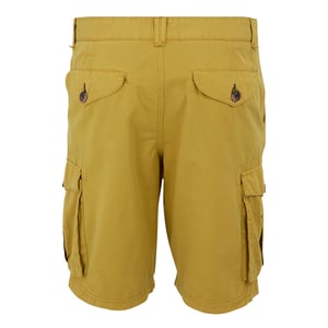 Regatta Heren shorebay ii cargo shorts