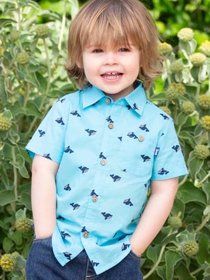 Kite Clothing Wonder Whale Shirt