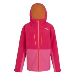 Regatta Kinder/Kids Highton V Full Zip Hoodie (Roze toverdrank/Flamingo Roze)