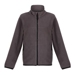 Regatta Kinder/Kids Microfleece Full Zip Fleecejack (Afdichting Grijs)