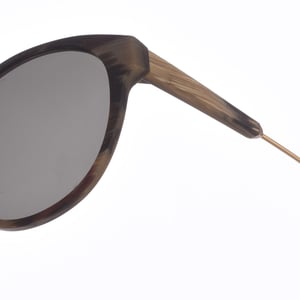 Unisex Z402 Pantos Shape Acetaat Zonnebril
