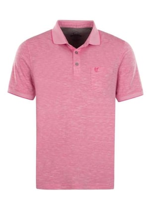 hajo polo