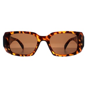 Atum Nyx C2 glanzende havana bruine zonnebril