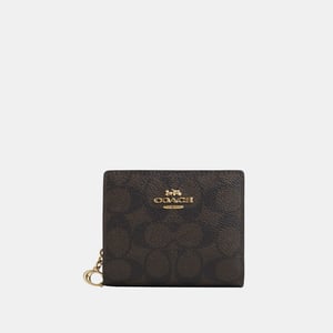 Snap Wallet in Signature Canvas