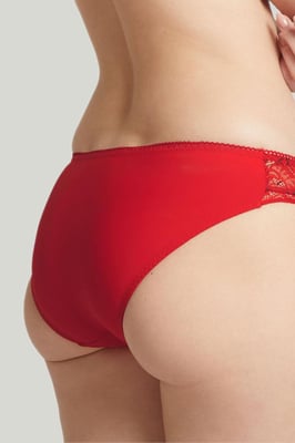 'Luccia' Brief