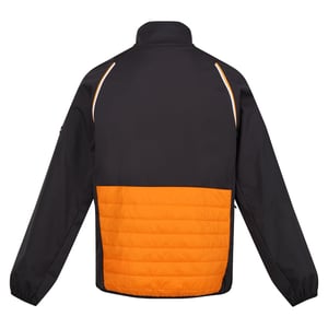 Regatta Mens Steren Hybrid Soft Shell Jacket (Orange Pepper/Ash)