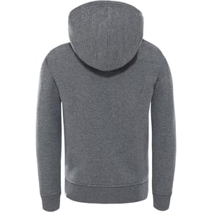The North Face Unisex Kids Drew Peak Borduur Hoodie Grijs
