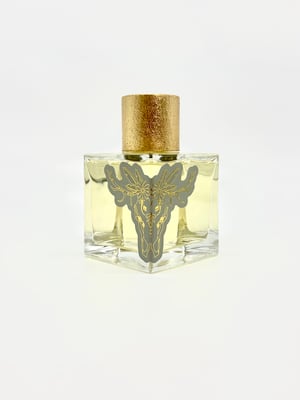 North to Poltava 100ml EDP