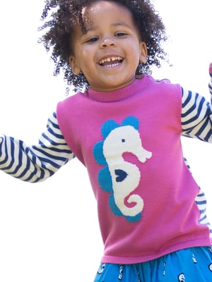 Kite Clothing Seahorse Jumper